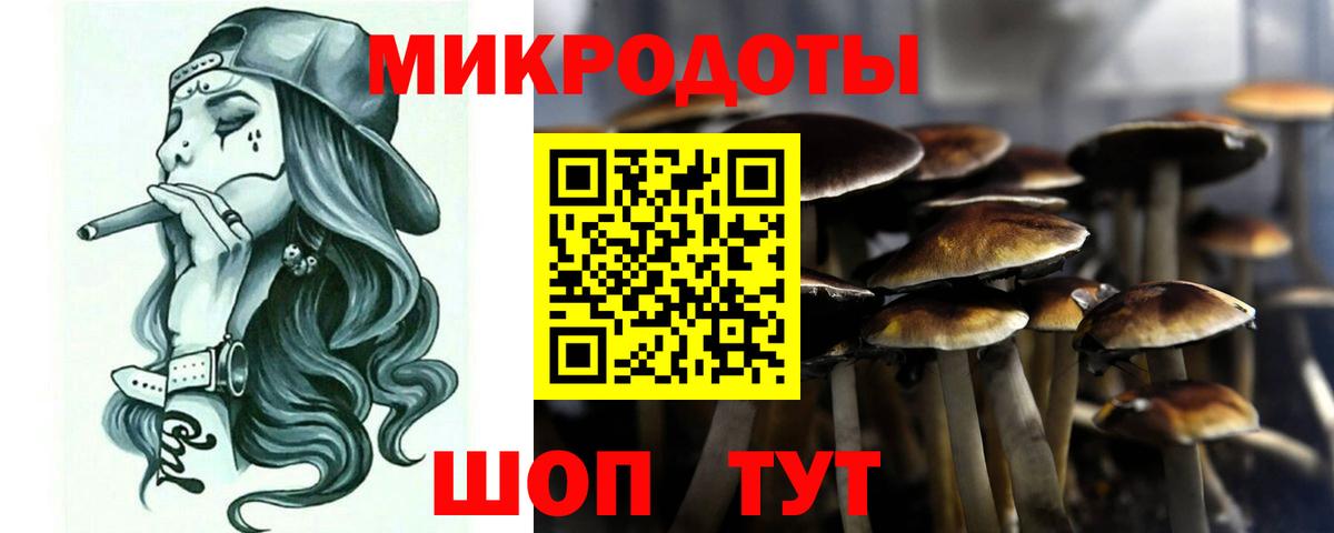 Богданович  Псилоцибиновые грибы прущие грибы  Вход с VPN 